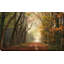 «Path of Dreams» par Lars Van de Goor - photographie-564908635-564908632