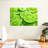 Yarlin Lime Slices-108730363