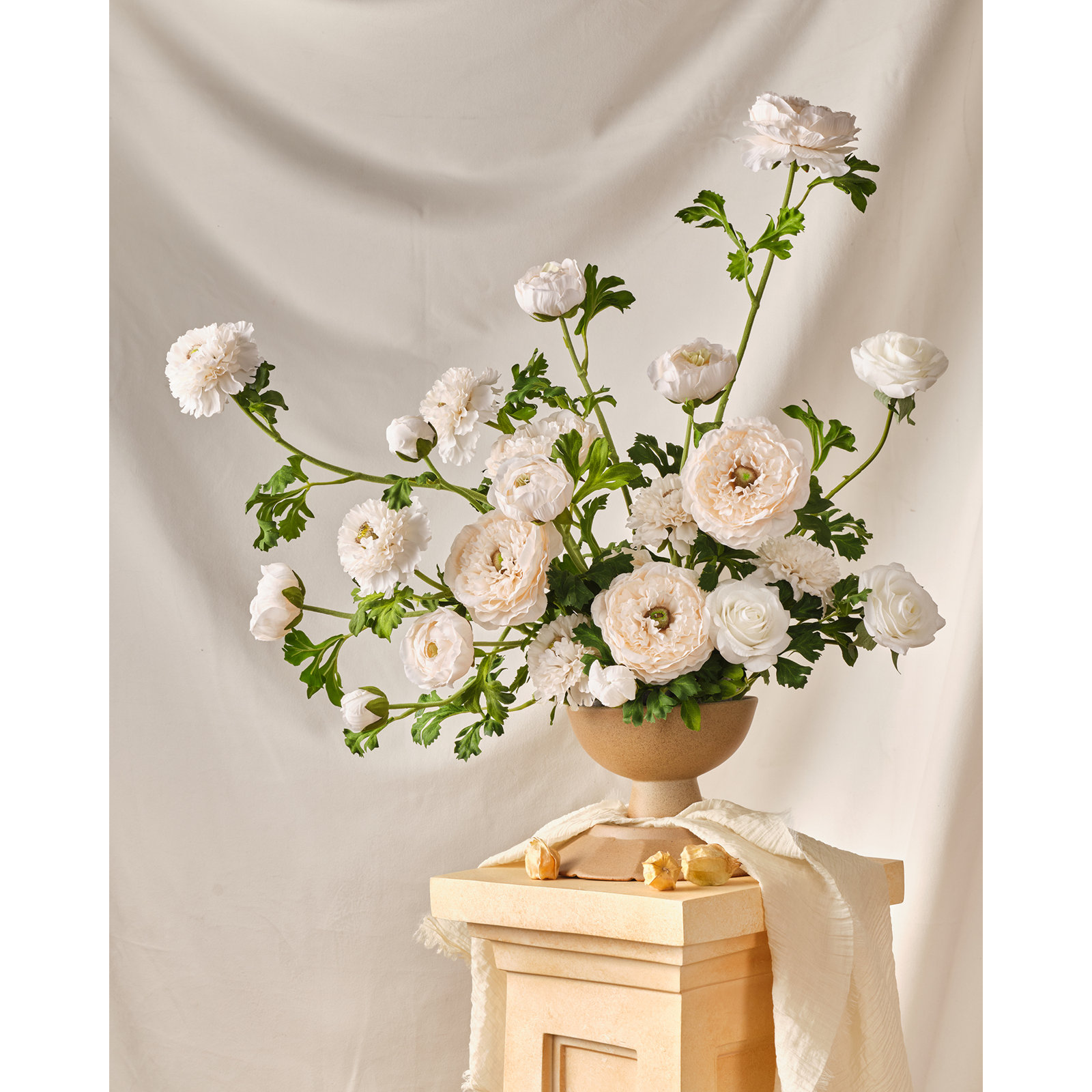 Ranunculus Stems
