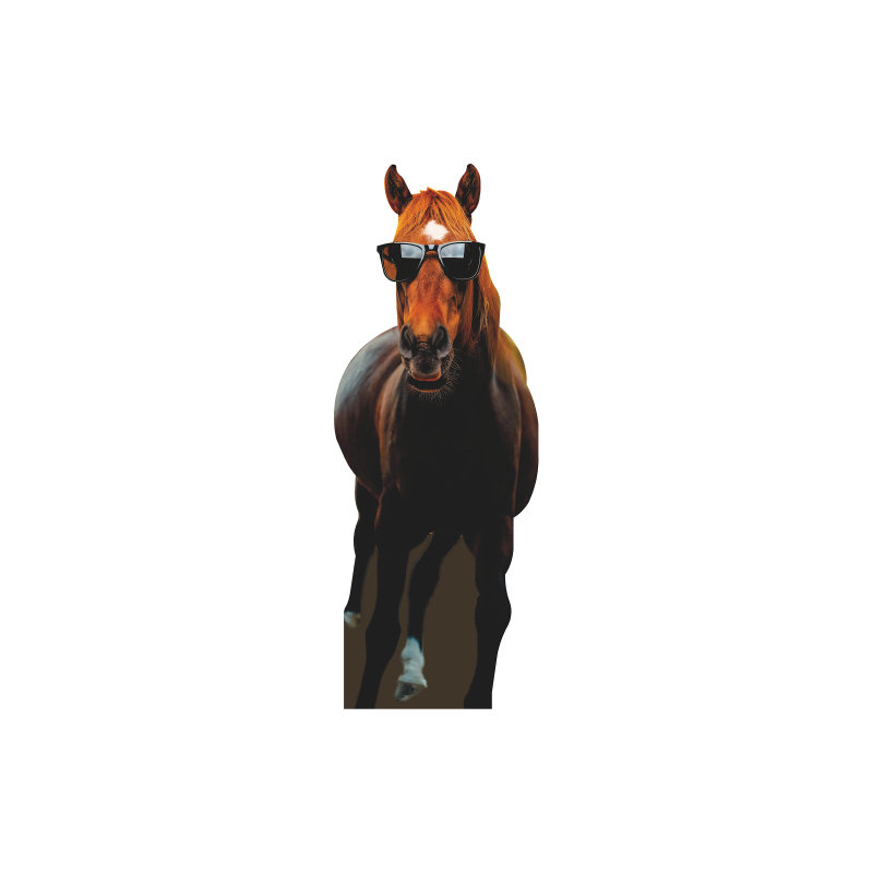 SP13106 «Mr Horse with Glasses»