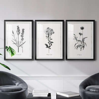 " Simply Imperial " 3 - Pieces