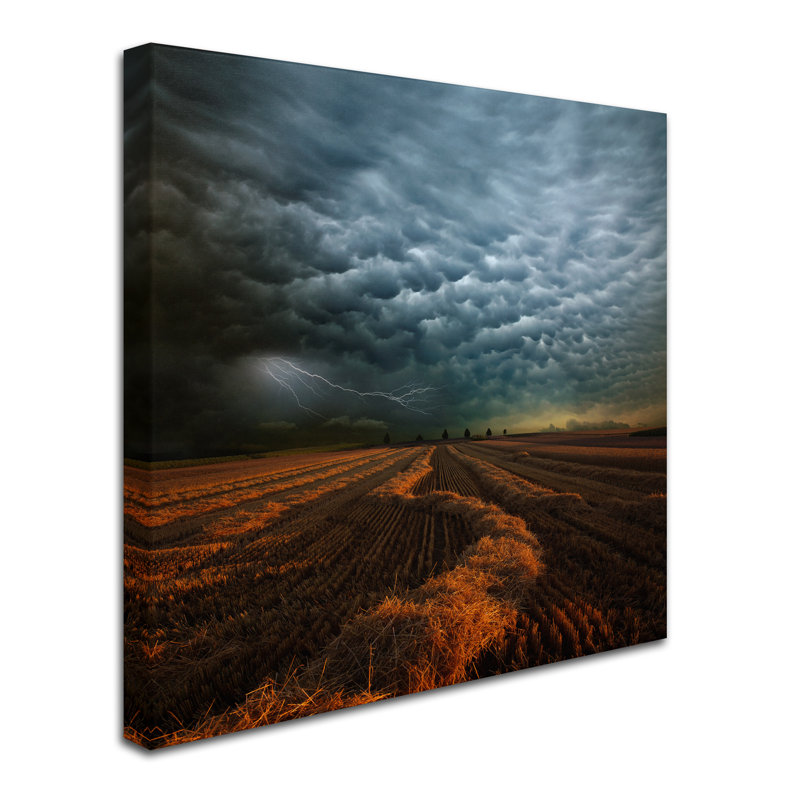 « mammatus », reproduction de photo sur toile tendue, H 14 po x l 14 po