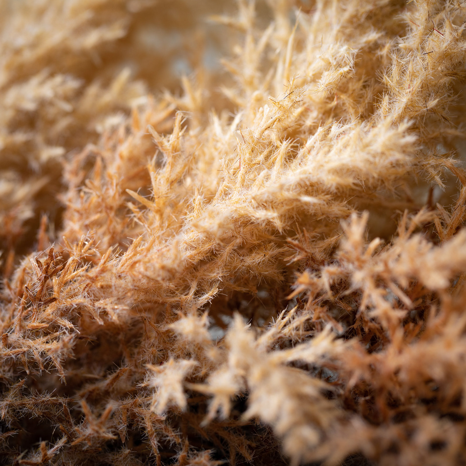 40'' in. Faux Reed Garland
