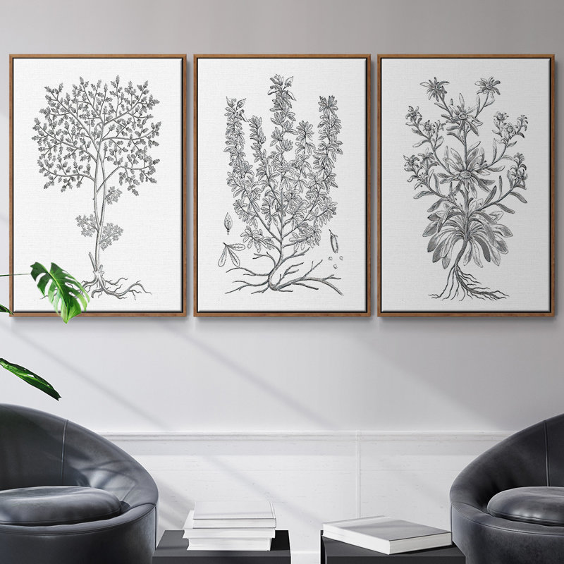 Ensemble de 3 toiles tendues B&W, Noyer, H 40 po x l 78 po