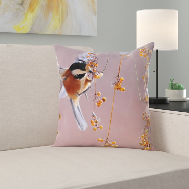 Coussin de nouvelle jeté