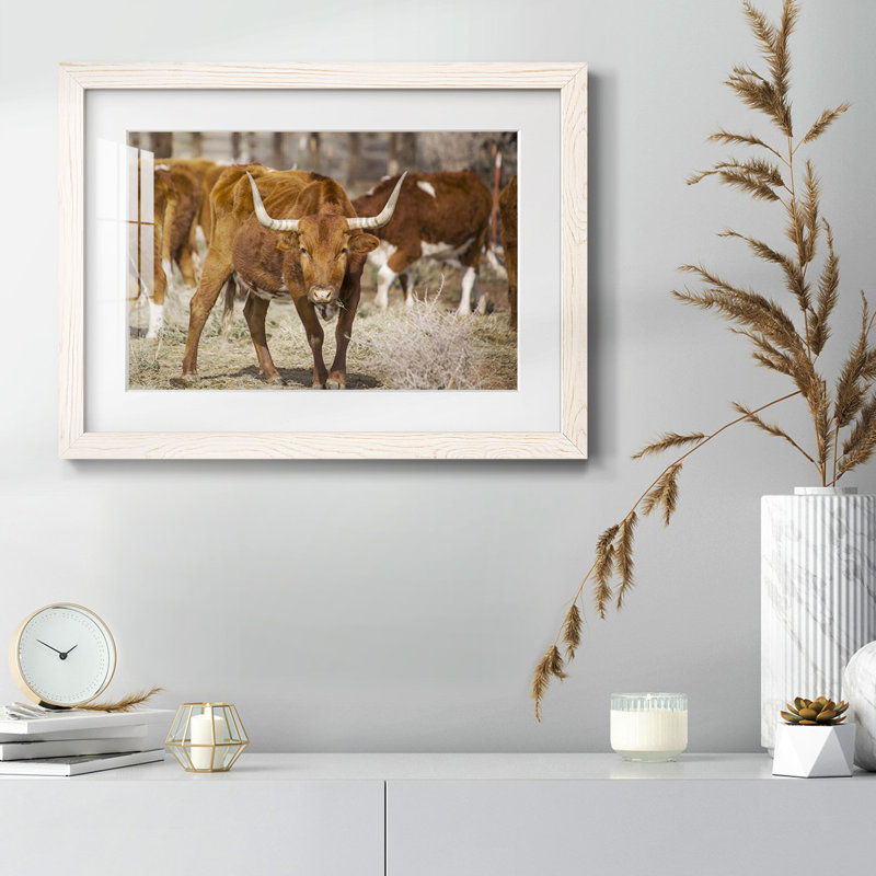 " Longhorns ", White, 14" H x 20" W x 1.5" D