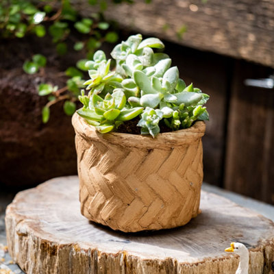 Pot Planter