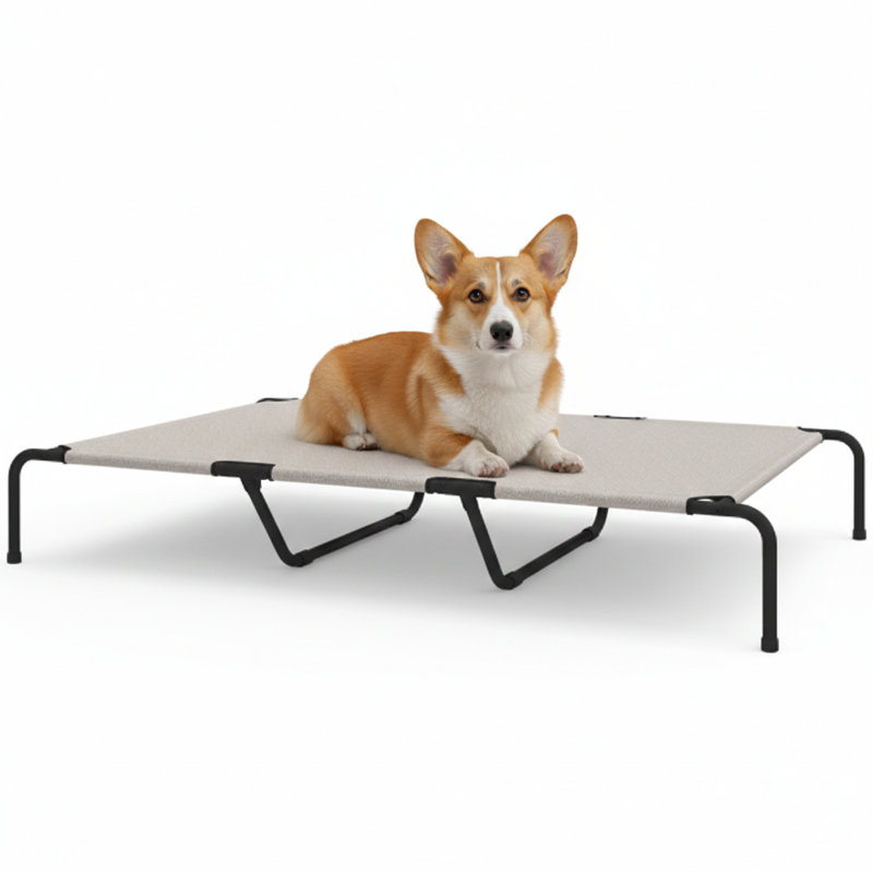 Spacious Pet Bed, Raised Canine Cot