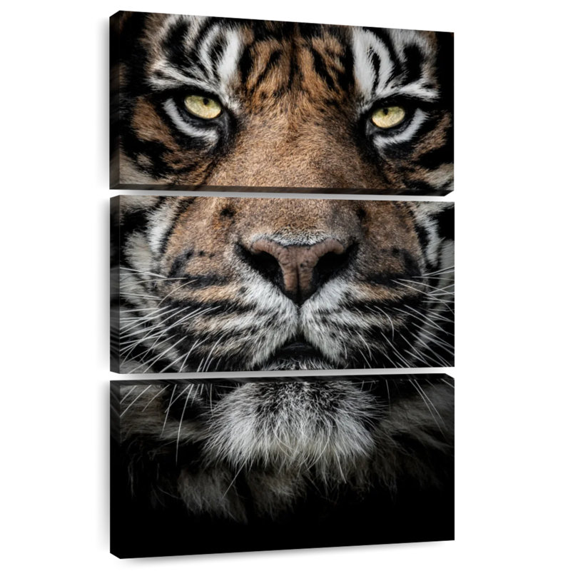 Brampt Serious Bengal Tiger, 32" H x 20" W