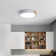 Eulane 1-Light 30cm LED Flush Mount Ceiling Light