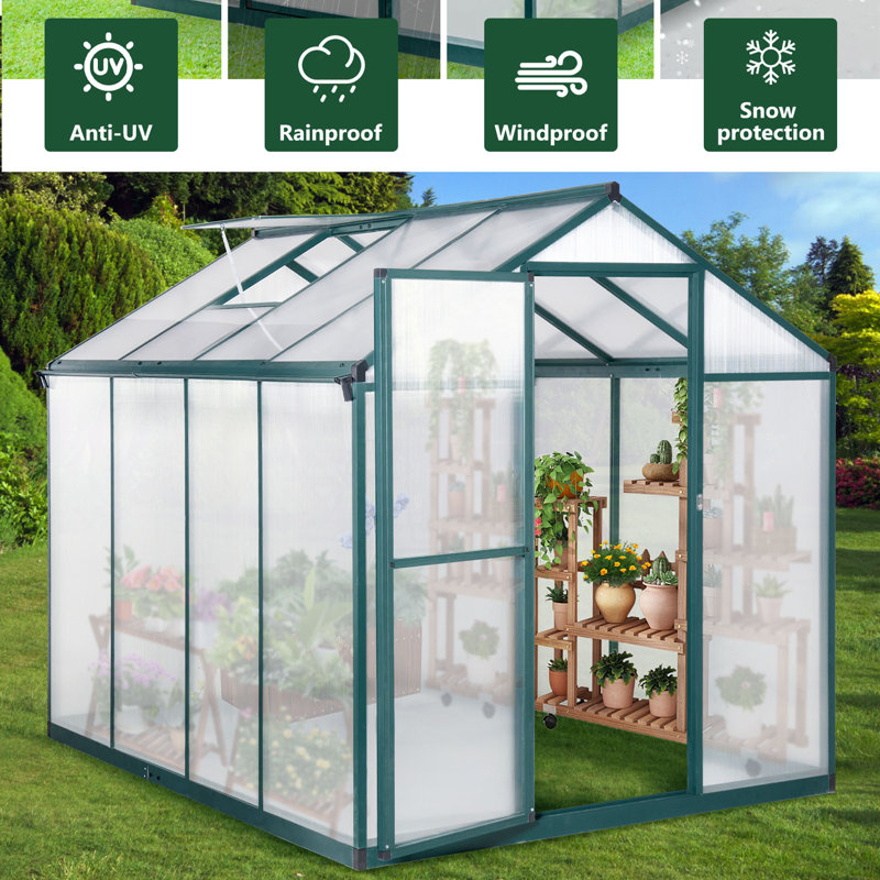 Serre en polycarbonate 6 x 8 x 6,5 pi
