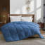 Wayfair Sleep Lightweight Down Alternative Comforter-403424104-459250355
