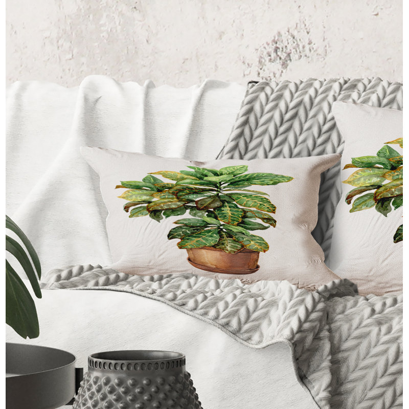 Coussin Rectangle, Croton In Clay