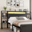 Storage Bed