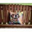 Coussin Mastiff