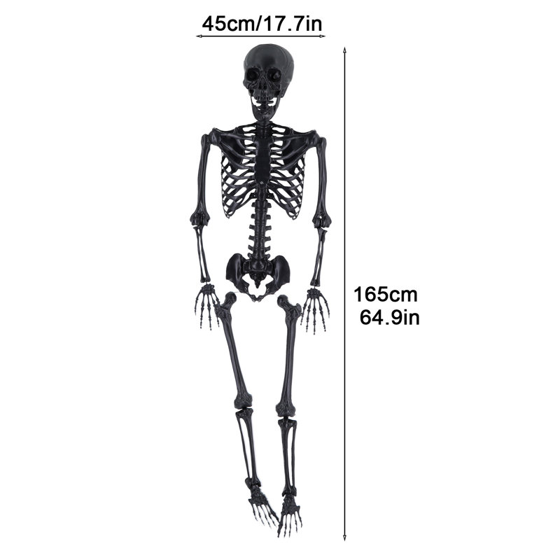 Halloween Skeleton,Full Body Realistic Human Bones with Posable Joints,Skeleton with Hanging Hole