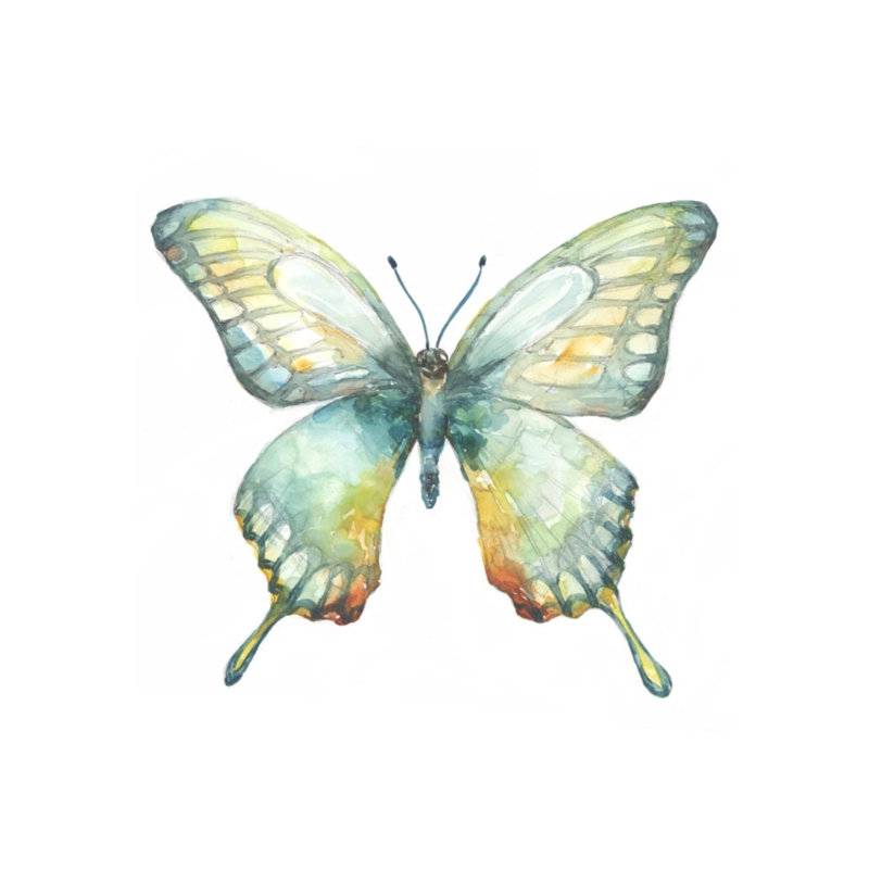 «Vibrant Butterfly III» par Beverly Fuller - impression, H 20 po x l 20 po x P 1,5 po, Extérieur