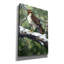 «Red Tailed Hawk» par William Vanderdasson-101511391