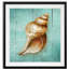 Conch - reproduction de cadre photo-1472043652