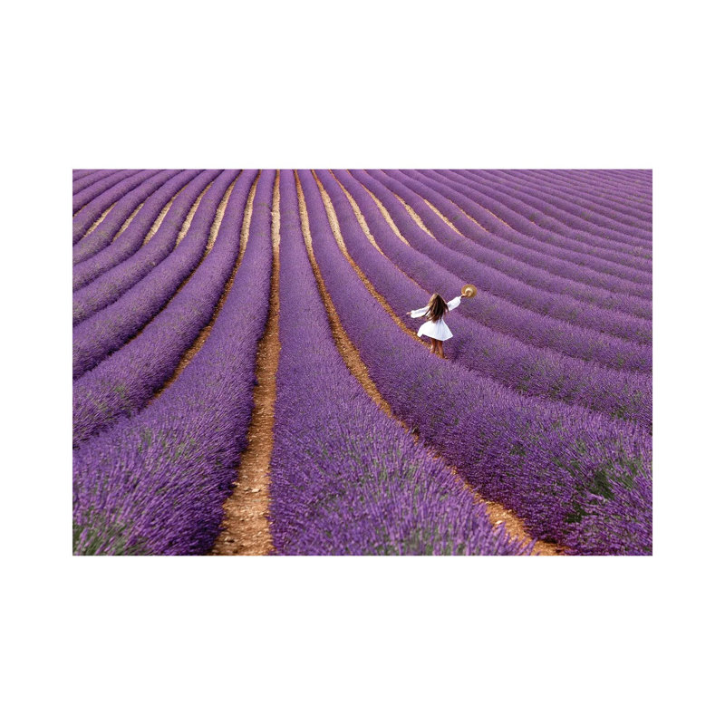 Violet by Massimo Della Latta - Wrapped Canvas Print, 20.32 cm H x 30.48 cm W