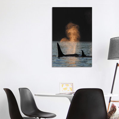 Orca Resident Pod Spouting, Prince William Sound, Alaska by Hiroya Minakuchi - Wrapped Canvas Print