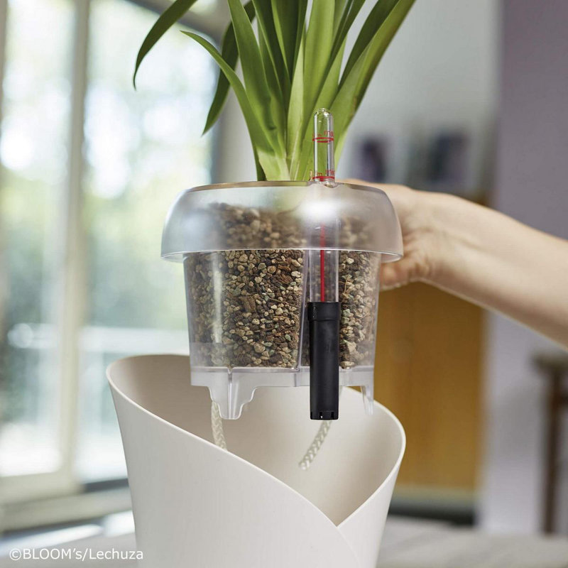 Plant Substrate, 29cm H x 19.5cm W x 9.5cm D