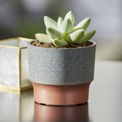 Pot Planter