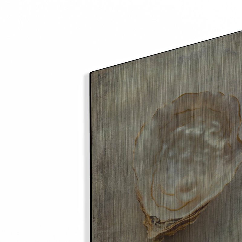 Ivy Bronx «Vintage Shell» par Svetlana Aleynikova, art mural en métal, H 16 po x l 12 po
