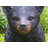 Bear Cub Walking Statue
