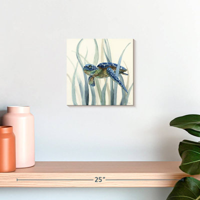 Tortue Brampt en ruppie maritime II