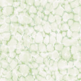 Evergreen Wallpaper, Reflections
