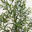 Olive artificielle en pot décoratif blanc-1640485338
