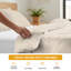 100% Organic Egyptian Cotton Duvet Cover Set – Soft, Breathable Hotel Style Bedding with Secure Zipper Closure-122724929