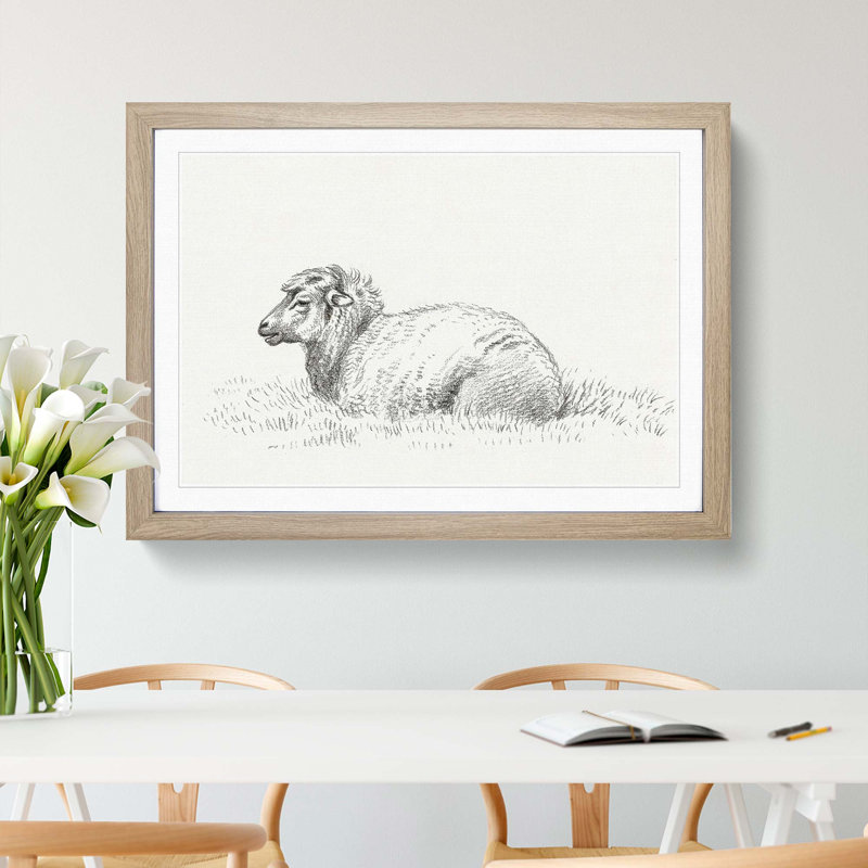 Lying Sheep by Jean Bernard - Picture Frame Drawing Print, 48cm H x 65cm W x 2cm D, Oak Framed
