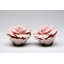 Cosmos Gifts Rose Salt and Pepper Set
