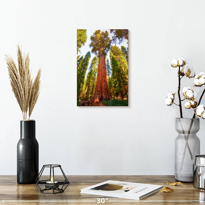 Harnek Redwood Tree Grove, 12" H x 8" W