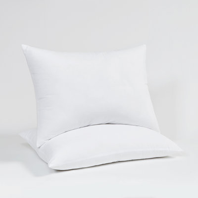 Ensemble de 2 oreillers moelleux