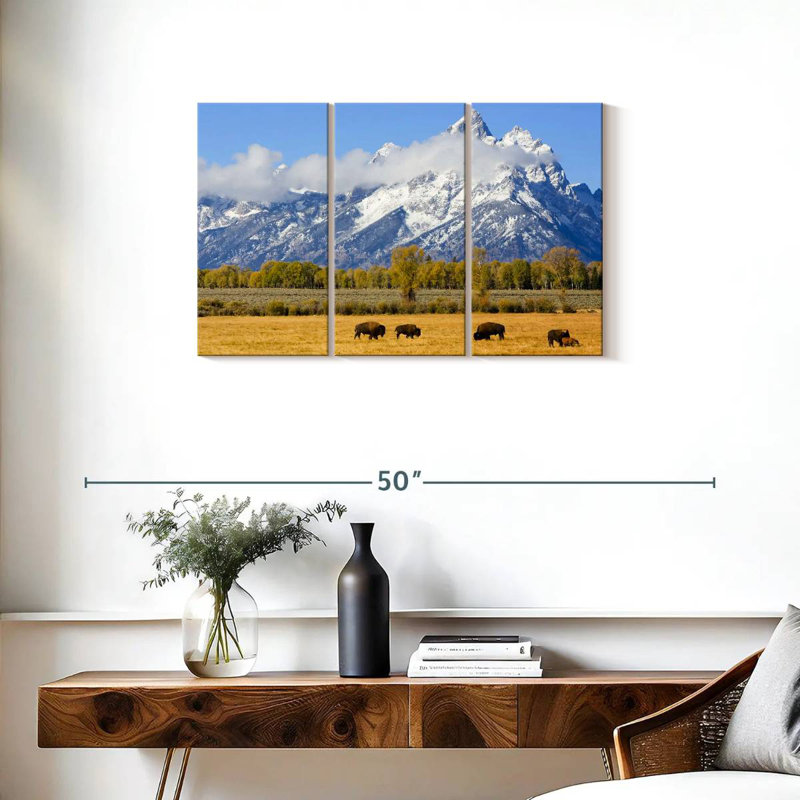 Bison d'Alvord dans les plaines de Teton, H 20 po x l 33 po