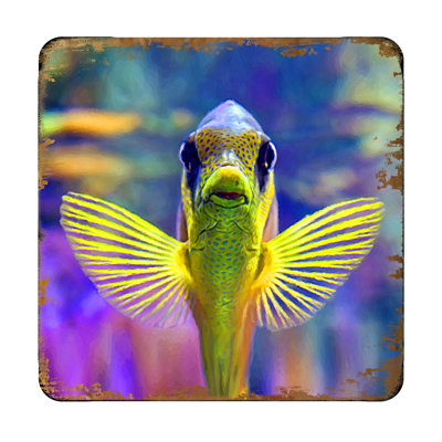 Wood Square 4 Piece Coaster Set