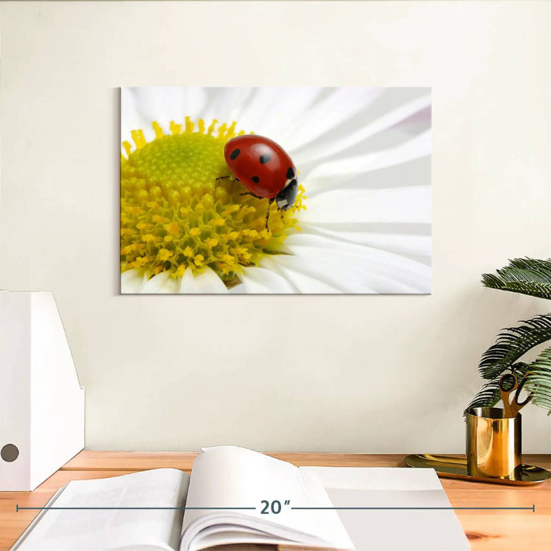 Crowle Ladybug On Chamomile, 8" H x 12" W