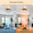 19.6'' Ceiling Fan With Light Kit And Remote Control Included