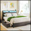 Ergonomic Queen Bed Frame With Headboard, Built-In Outlets, Charger, LED Light, And Storage Shelf, Noise-Free, No Box Spring Needed-131377722-131377723