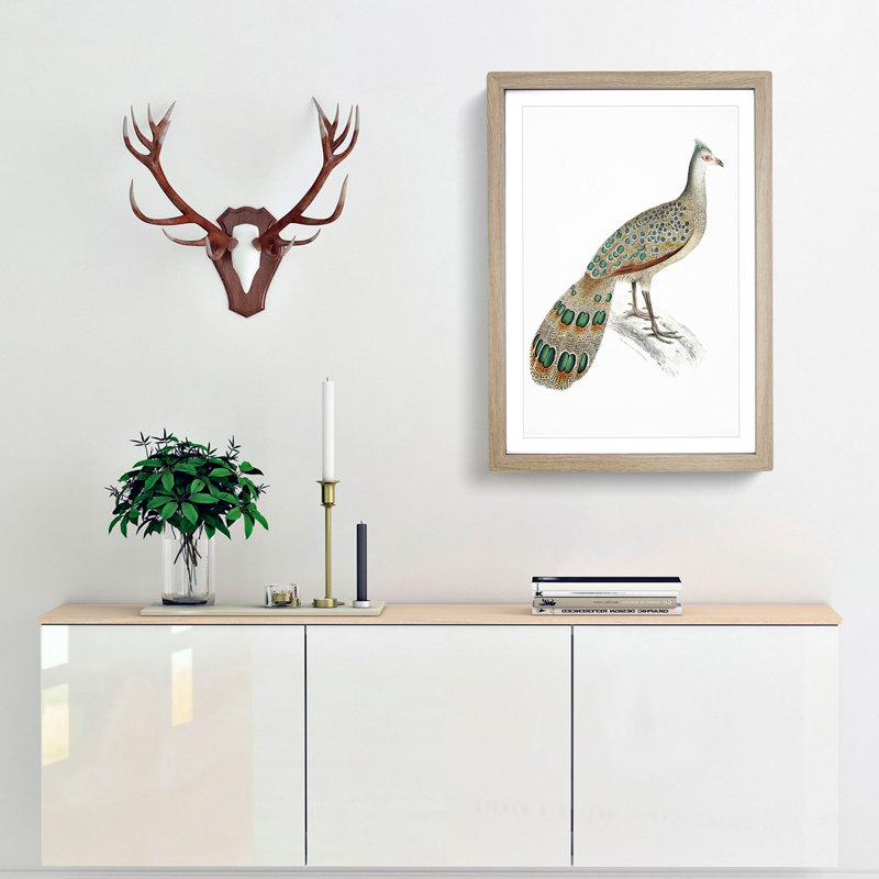 Peacock-Pheasant by John Edward Gray - Picture Frame Painting Print, 48cm H x 36cm W x 2cm D, Oak Framed