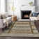 Machine Washable Indoor/Outdoor Meredith ACN2160 Striped Rug
