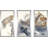 " Approaching " 3 - Pieces-64194838