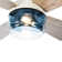 42''W Caiya 4 - Blade Standard Ceiling Fan with Remote Control and Light Kit Included