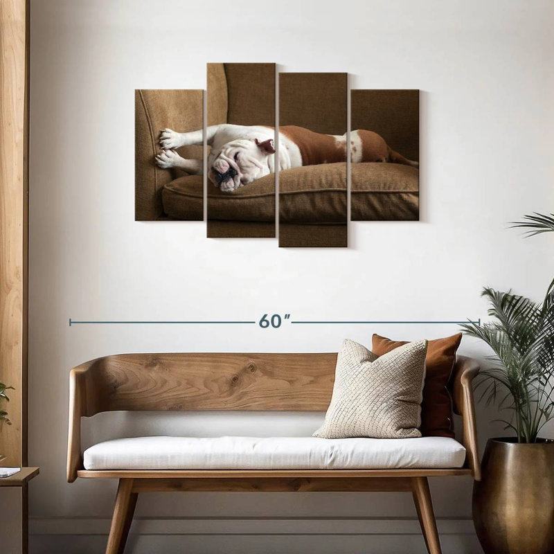 Bouledogue Brampt