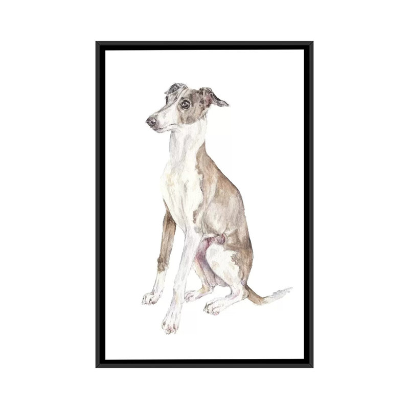 «Italian Greyhound», reproduction sur toile, H 26 po x l 18 po x P 1,5 po, Pas de tapis, Toile avec cadre noir