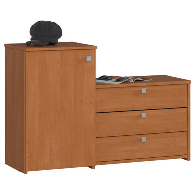 Ferguson 17 Pair Shoe Storage Cabinet