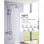 Double pomme de douche thermostatique à double fonction-50980837